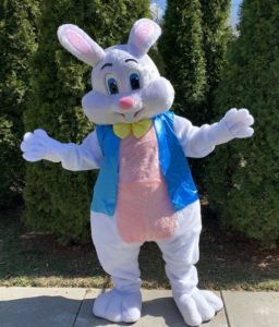 Rent an Easter Bunny, Hire a Bunny for an Egg Hunt, Events, Party