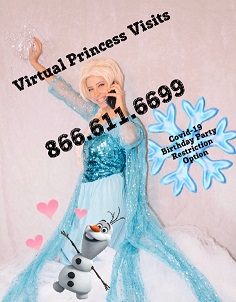 Princess Video Calls, Virtual Princess Parties