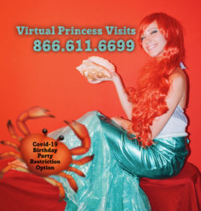 Princess Video Calls, Virtual Princess Parties