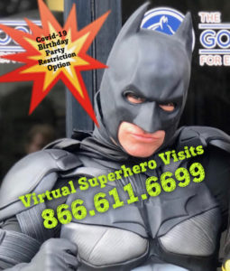 Virtual Superhero Party, ZOOM Superhero Calls