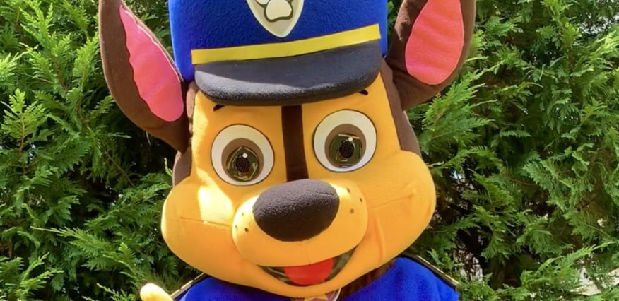 Rent Paw Patrol Party Characters